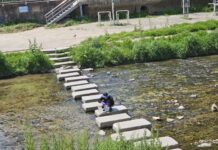 2023년 경기도 내 49개 하천 좋은 물 비율 76.7%