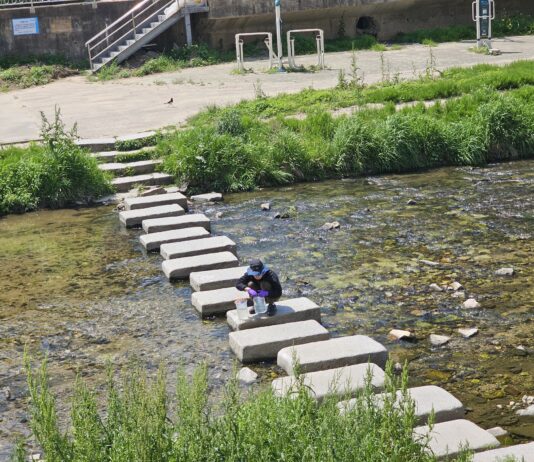 2023년 경기도 내 49개 하천 좋은 물 비율 76.7%