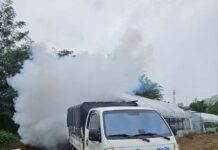 경기도, 아프리카돼지열병·럼피스킨 발생에 차단방역 총력