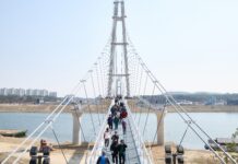 ‘여주 남한강 출렁다리’ 개통, 경기도 동부지역 관광 산업의 중심으로 떠올라